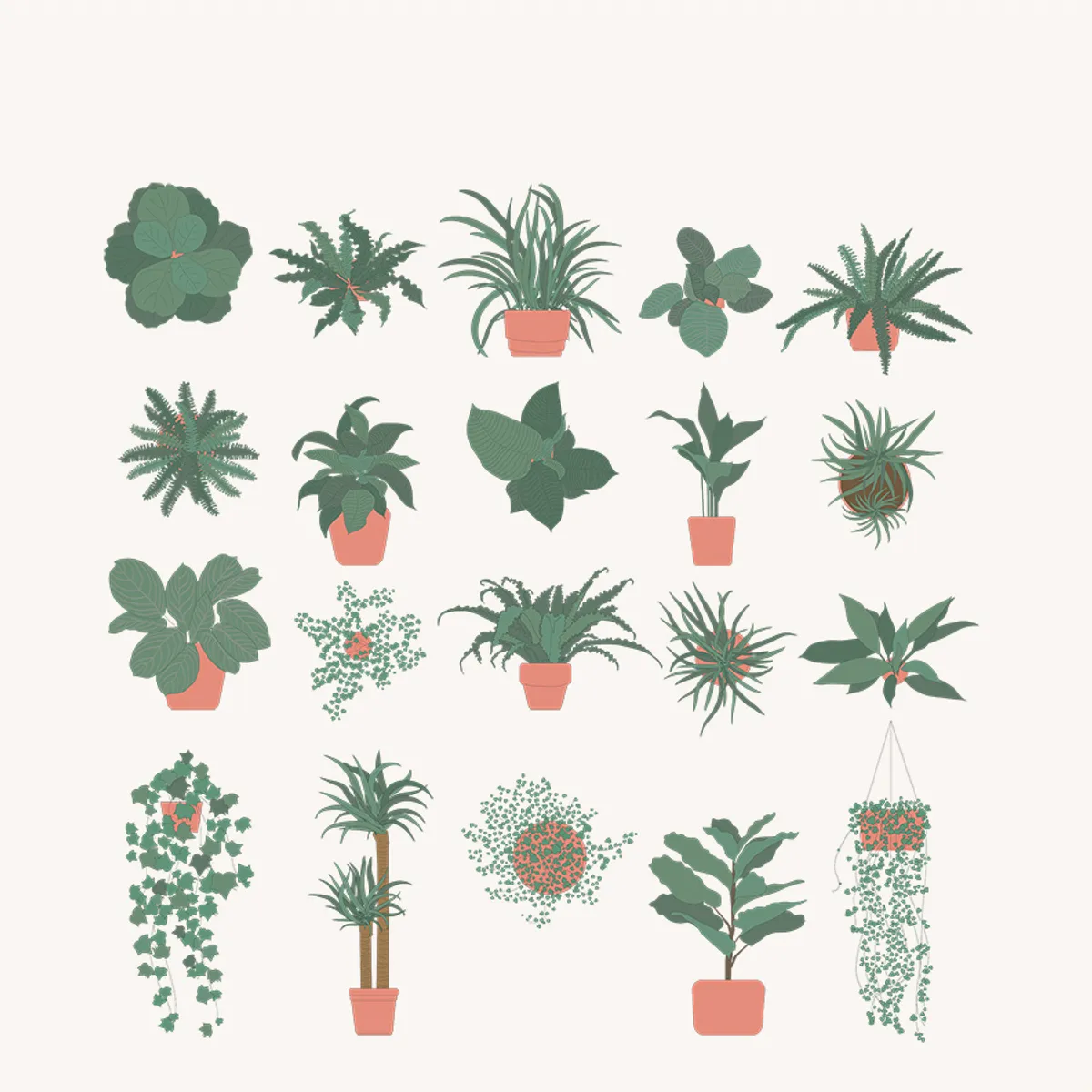 Indoor plants Elevation Color