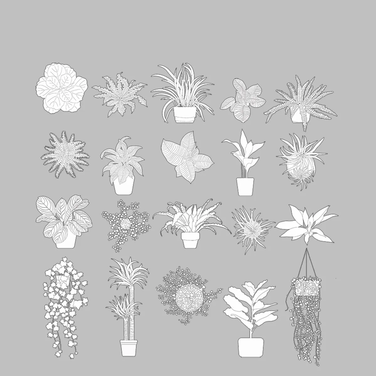 Indoor plants Elevation Line