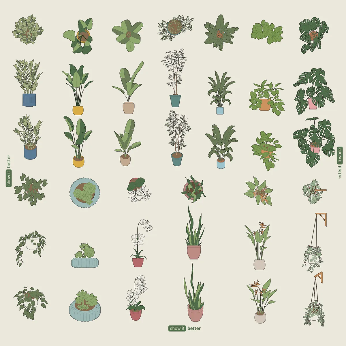 Interior Plants by Show it Better Color