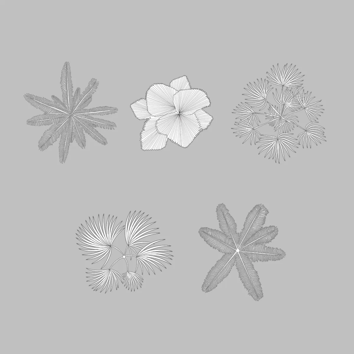 Palm Tree Top View Line