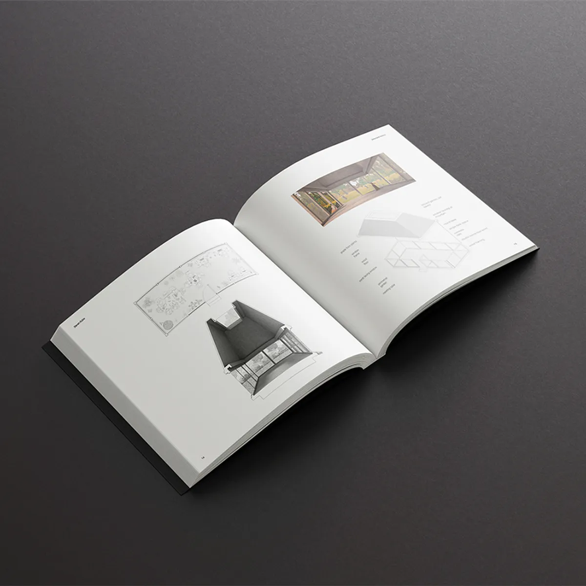 Portfolio Project Spreads 3