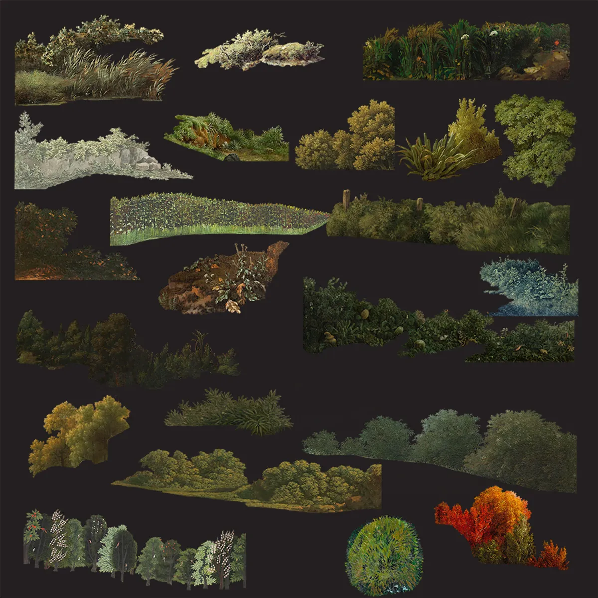 Shrubs and Bushes Collage Pack