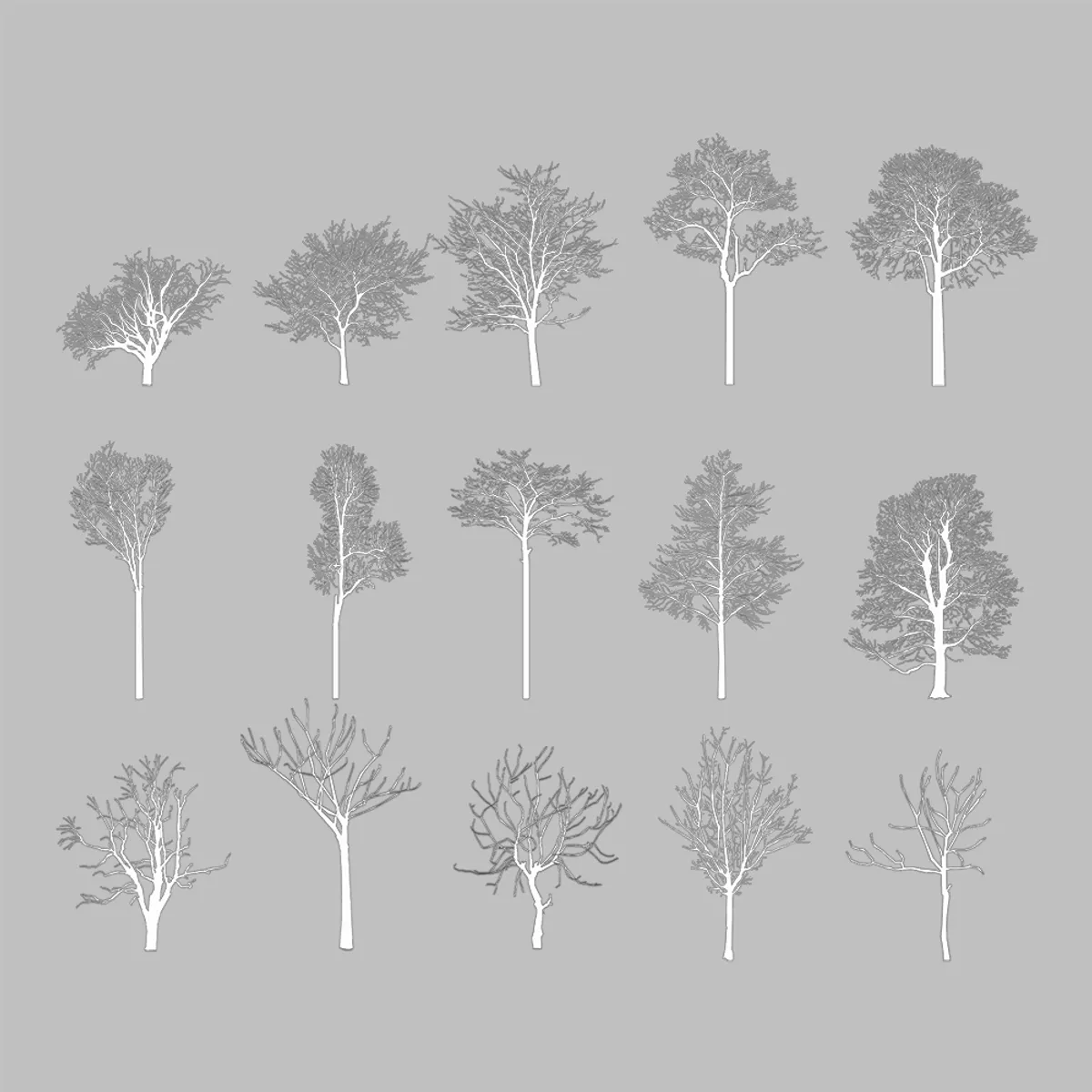 Winter trees elevation line