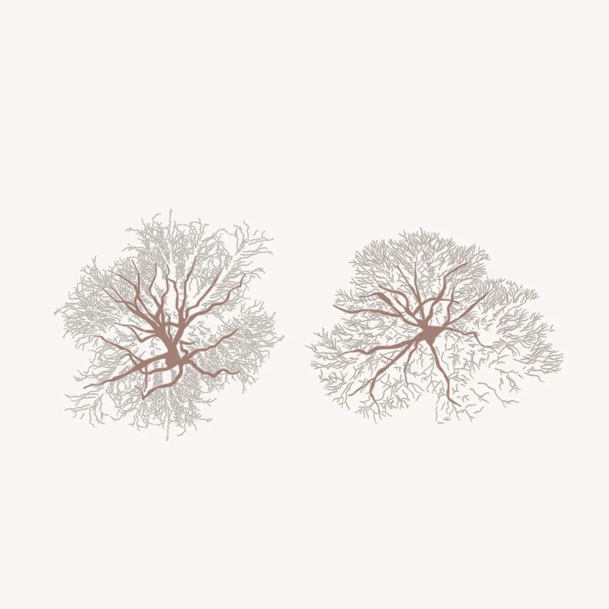 Winter trees top view color